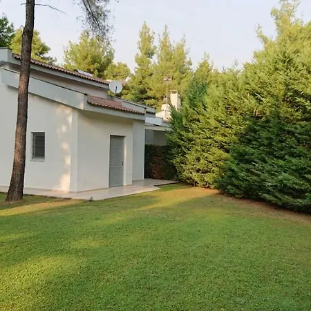 Newly Built Villa, Sani Stavronikita Sani (Chalkidiki)