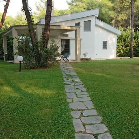 Newly Built Villa, Sani Stavronikita 펜션 Sani (Chalkidiki)