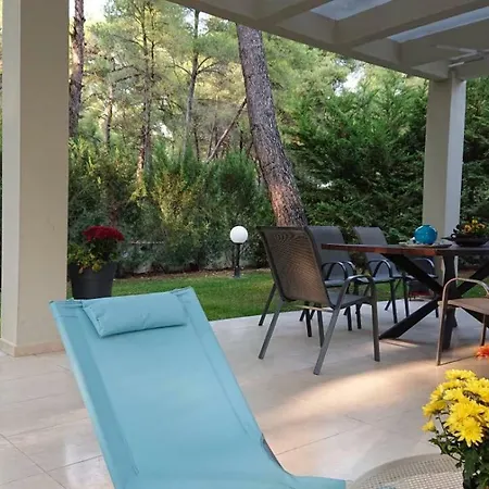 Newly Built Villa, Sani Stavronikita 펜션